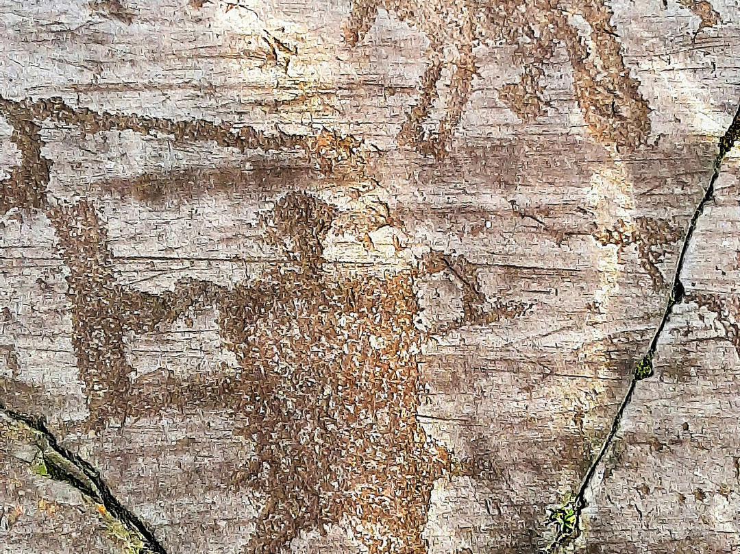 梵尔卡莫尼卡谷地岩画-Capo di Ponte必去景点