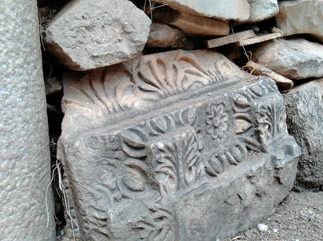 Sardis (Sardes)-萨利赫利必去景点