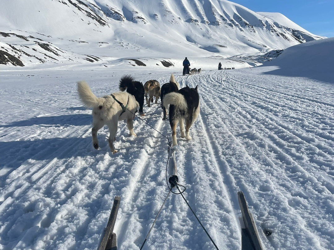 Green Dog Svalbard-朗伊尔城必去景点