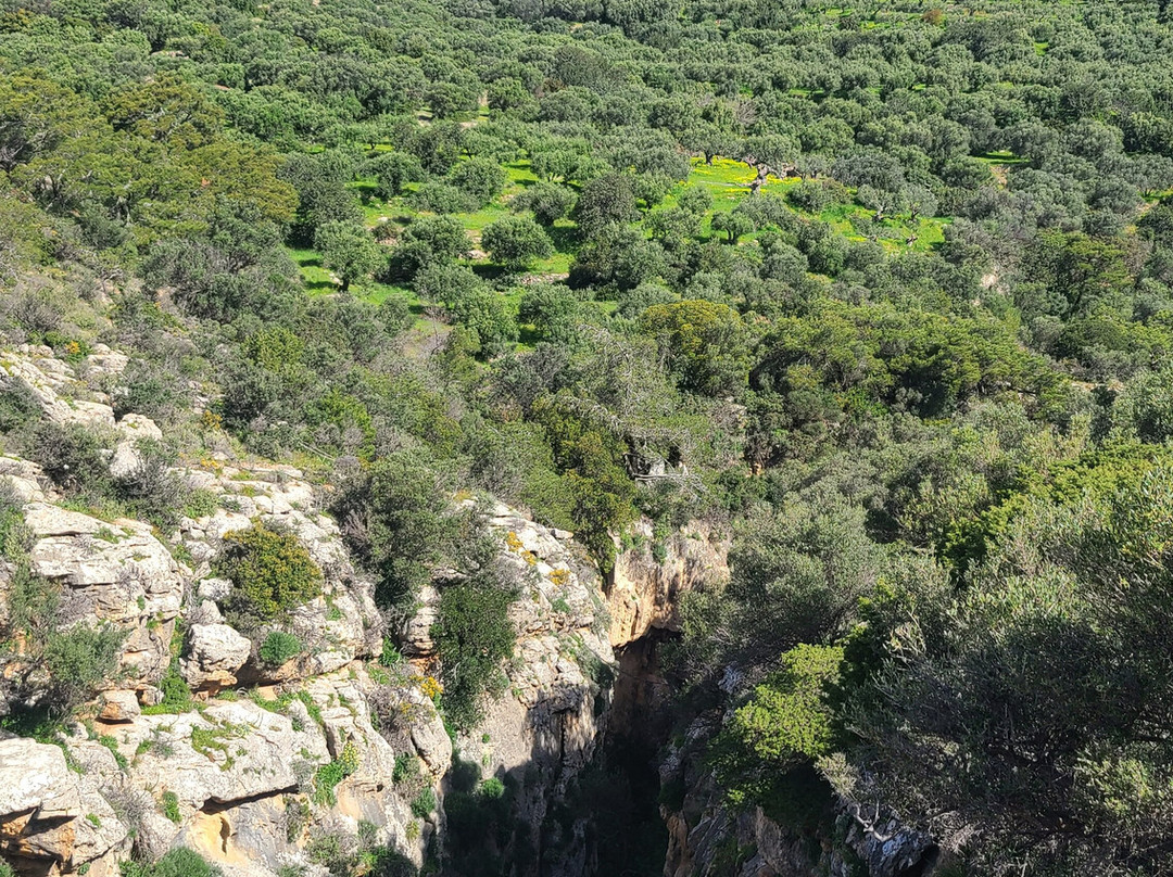 Waterfall of Milona-Koutsounari必去景点