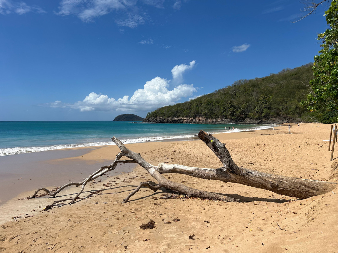 Rochers Caraibes-eco Village主图