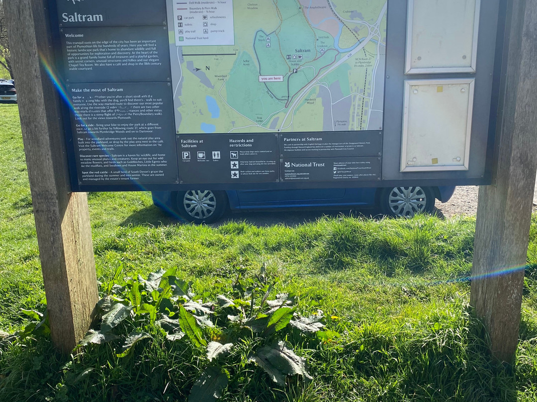 Saltram (National Trust)-普利茅斯必去景点