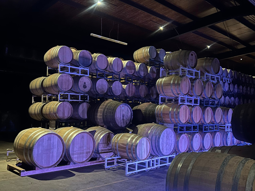 Bodegas Domecq-恩塞纳达必去景点
