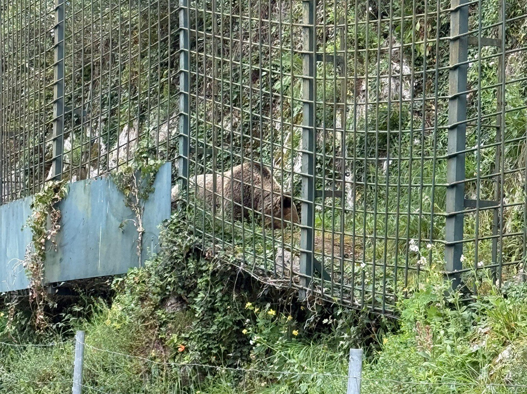 TeverAstur Senda del Oso-Teverga Municipality必去景点