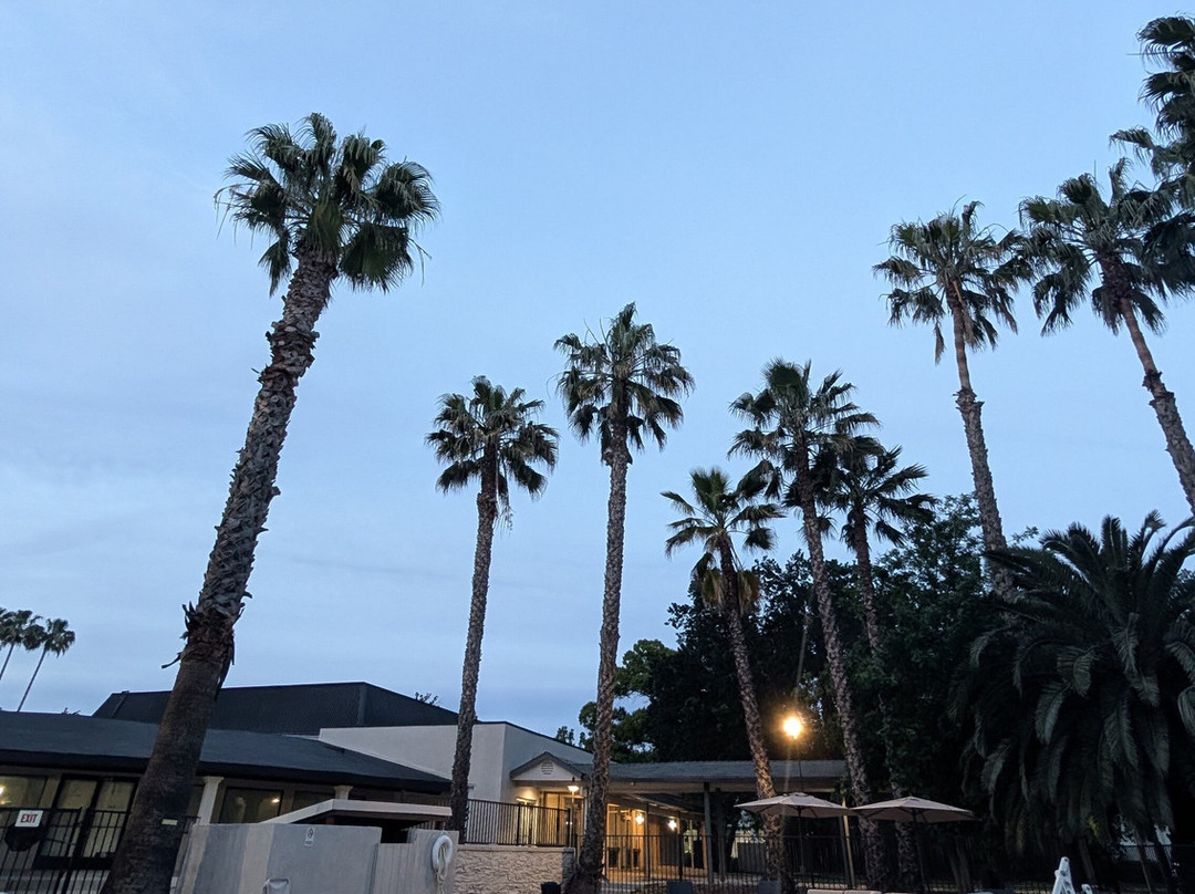 普罗迪吉酒店-温德姆旗下戴斯酒店主图