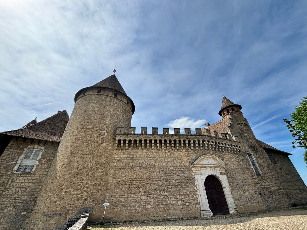 Château de Virieu-Virieu必去景点