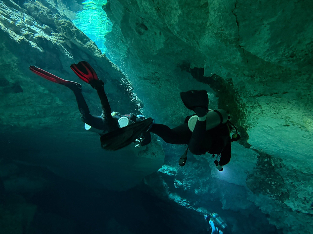 Dressel Divers Playa Del Carmen-普拉亚德尔卡曼必去景点