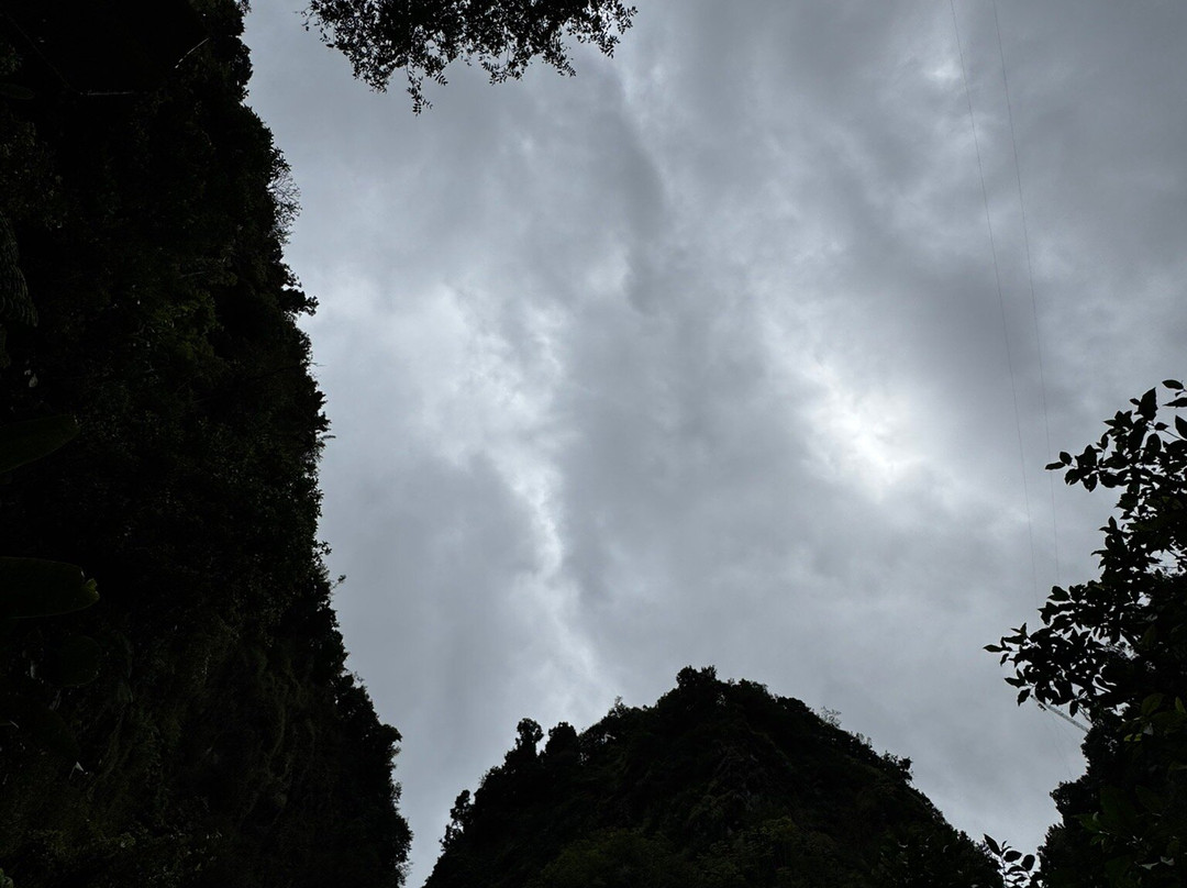 Trafalgar Falls-Morne Trois Pitons National Park必去景点