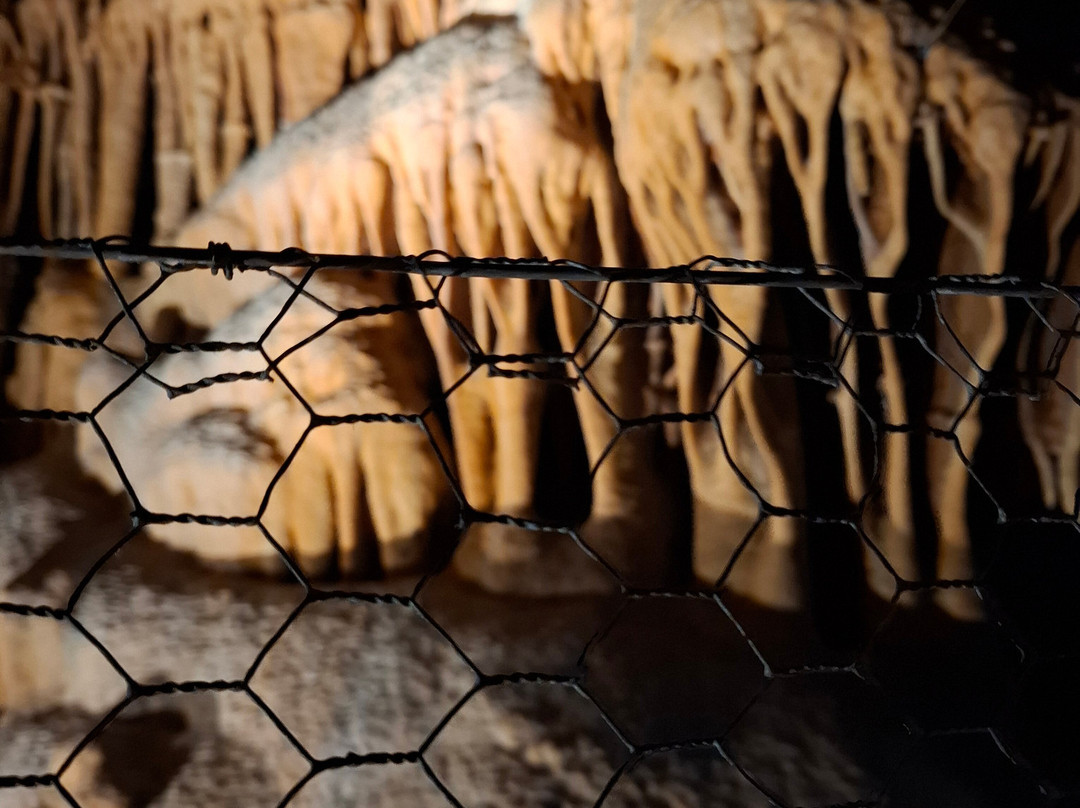 Grotte Du Bosc-Saint-Antonin Noble Val必去景点