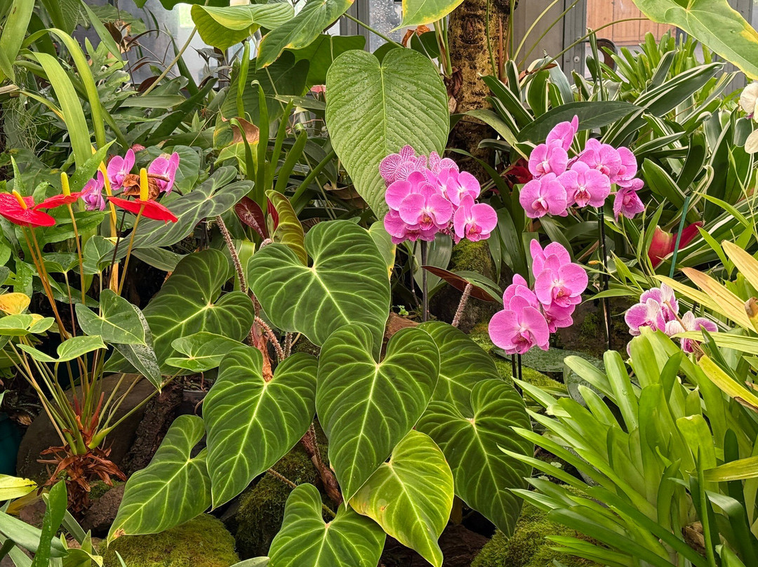 Jardín Botánico de Quito-基多必去景点