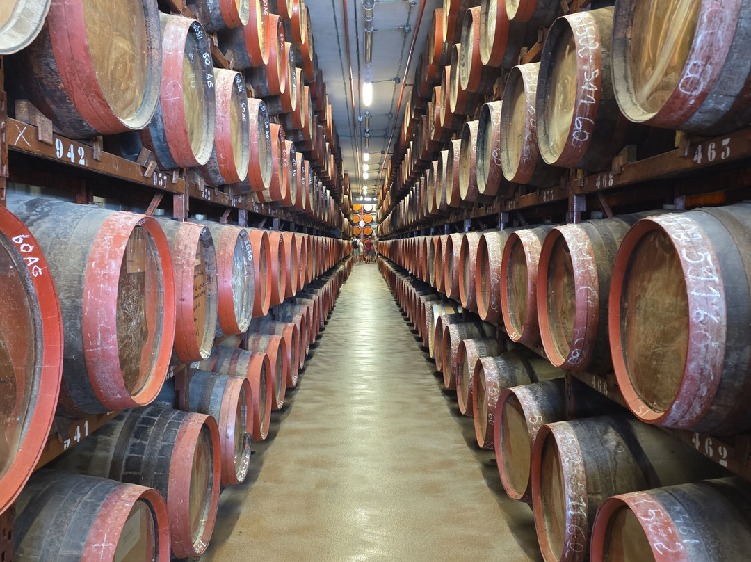 Arehucas Rum Distillery-Arucas必去景点