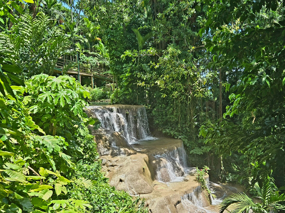 Konoko Falls & Park-奥乔里奥斯必去景点