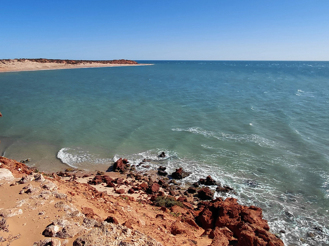 Shark Bay Coastal Tours-德纳姆必去景点