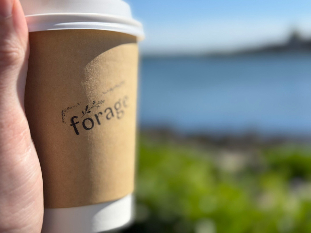 Forage Delicatessen Cafe