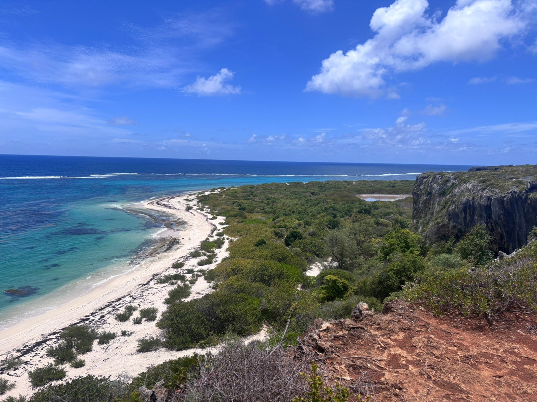 Hillside Tours Barbuda-Codrington必去景点