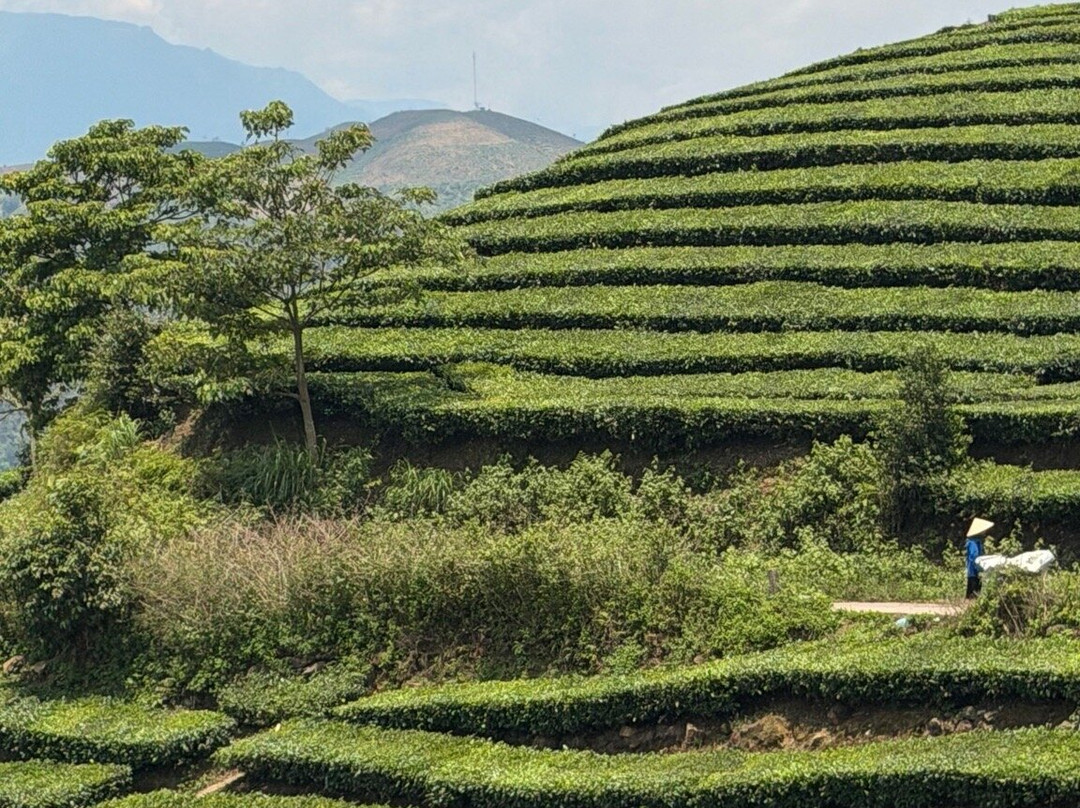 Vietnam Motorbike Tour Expert-河内必去景点