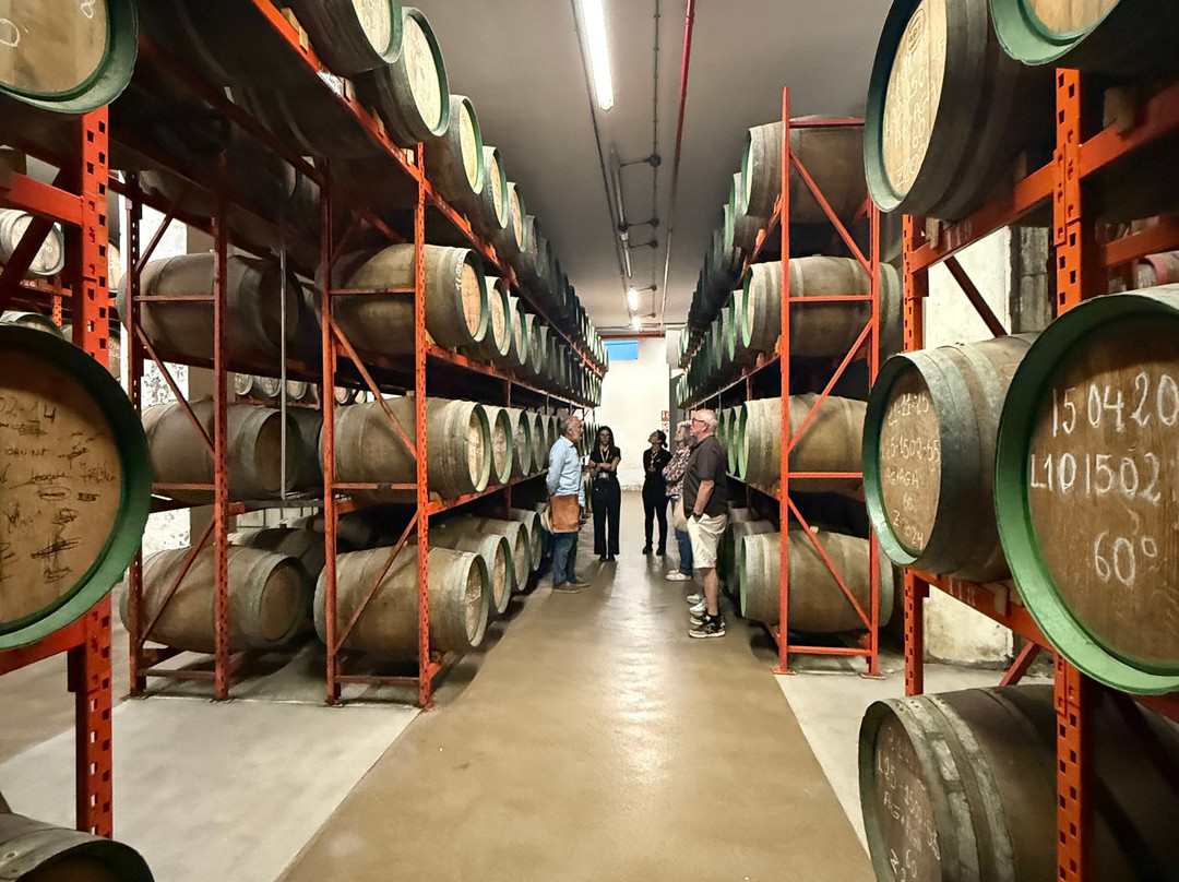 Arehucas Rum Distillery-Arucas必去景点