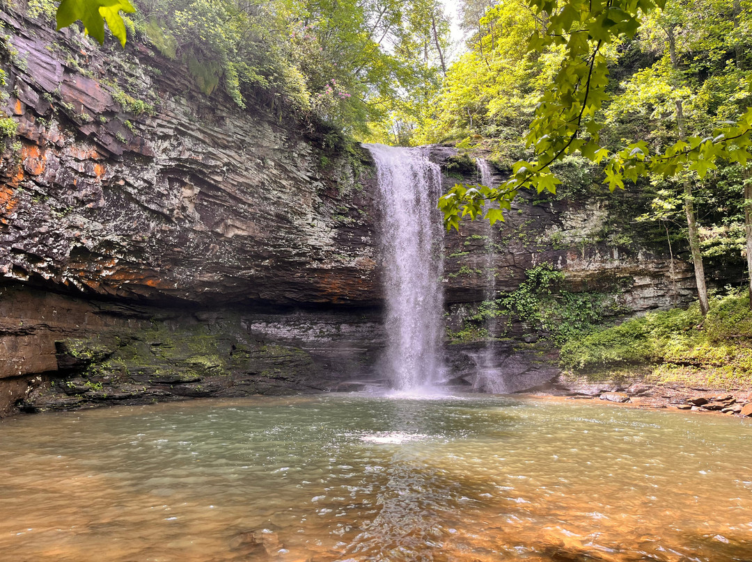 Cloudland Canyon State Park-Rising Fawn必去景点