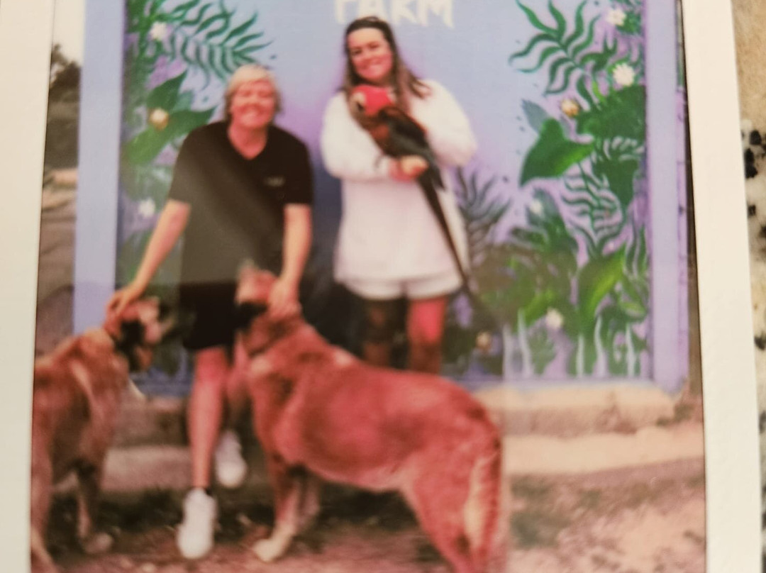 Quinta Fotoplanet Farm-阿尔布赞拉必去景点