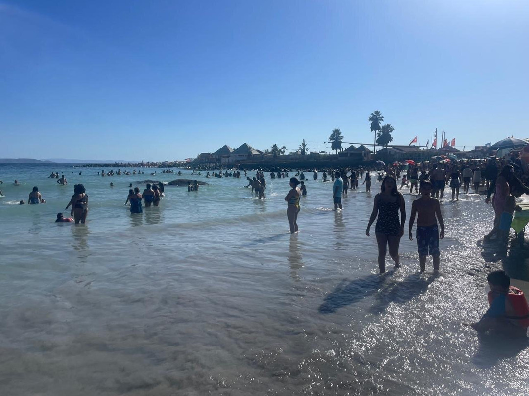 Playa Totoralillo-Coquimbo必去景点
