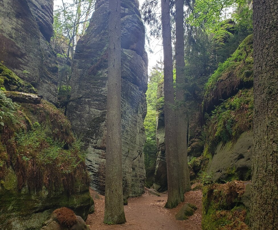 Prachov Rocks-Jicin必去景点