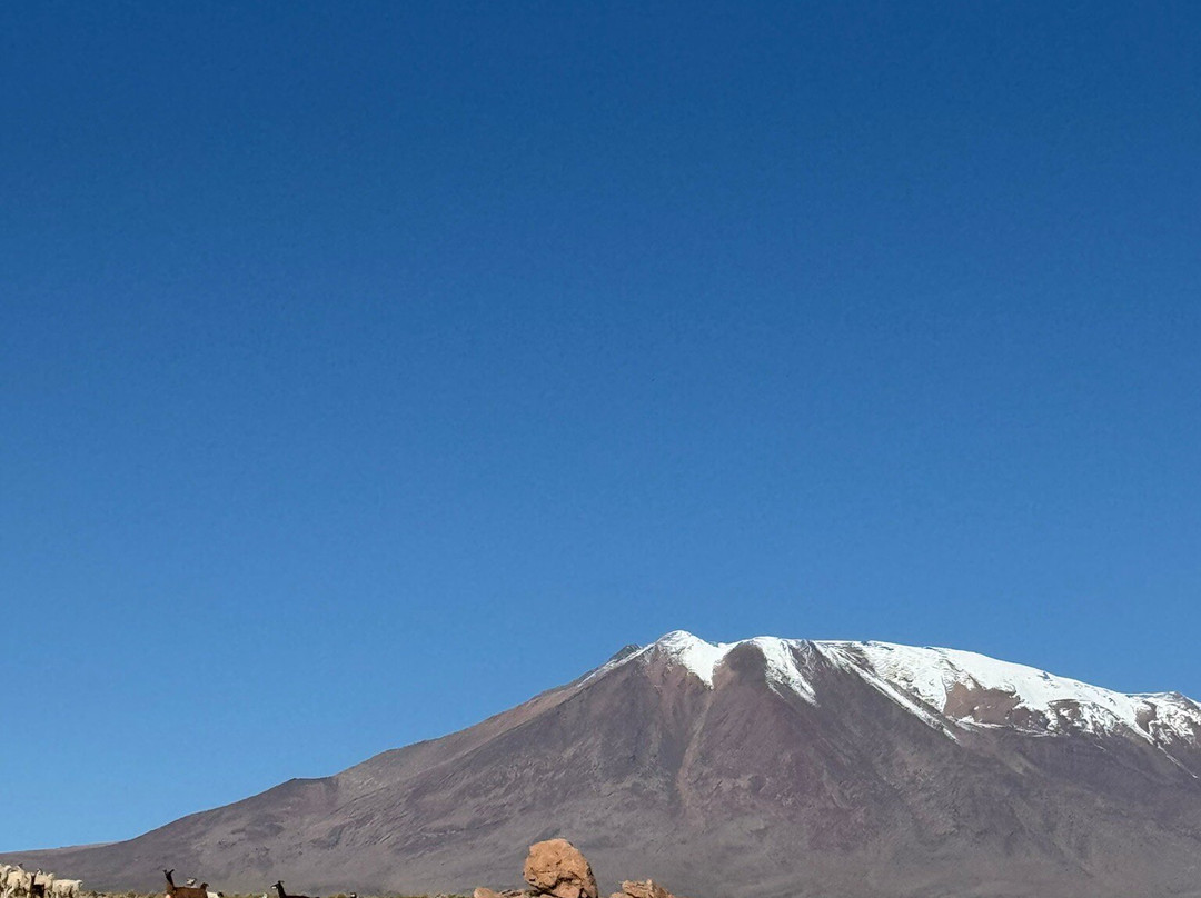 Eduardo Avaroa National Reserve of Andean Fauna-Potosi Department必去景点