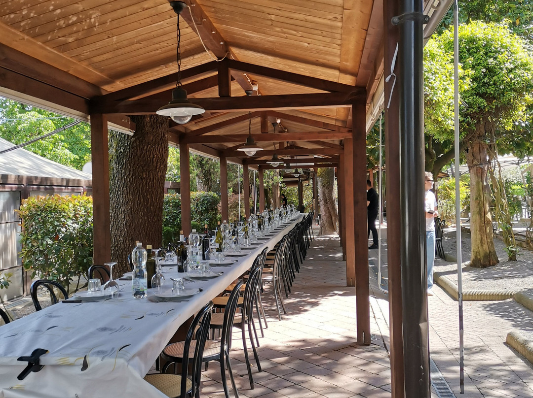 Fattoria Il Poggio-Montecarlo必去景点