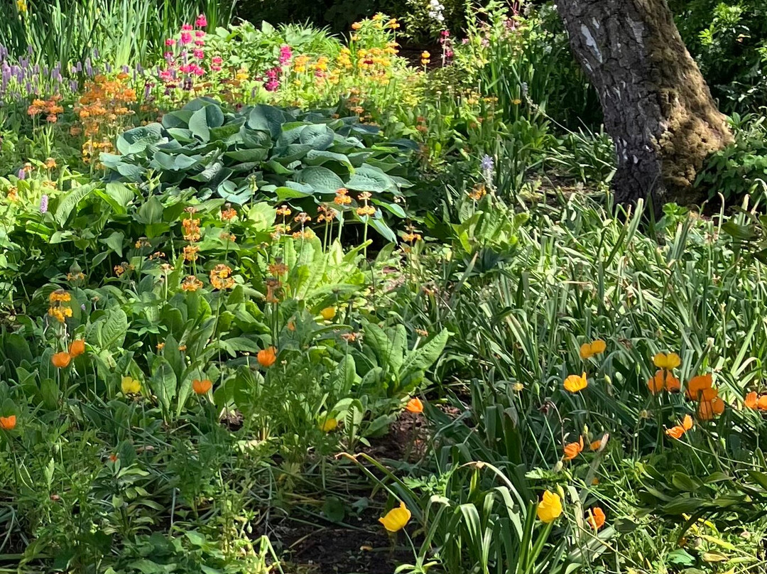 Fullers Mill Garden-West Stow必去景点