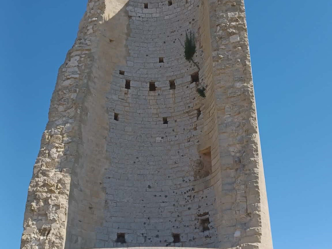 Torre del Serpe-奥特朗托必去景点