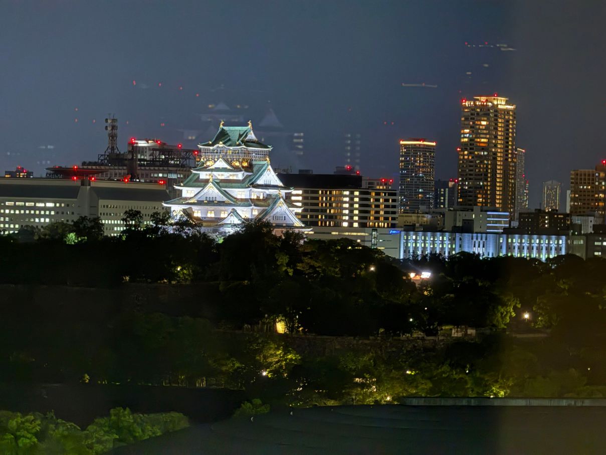 大阪新大谷酒店-酒店景观