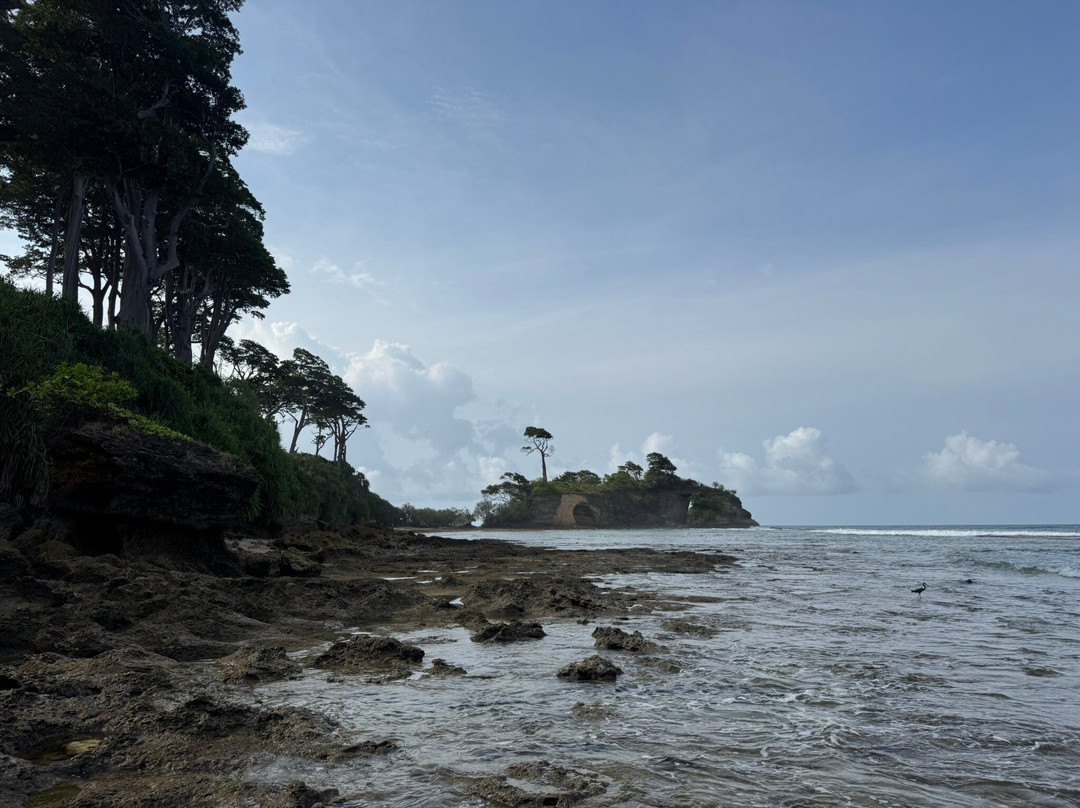 Natural Coral Bridge-Neil Island必去景点