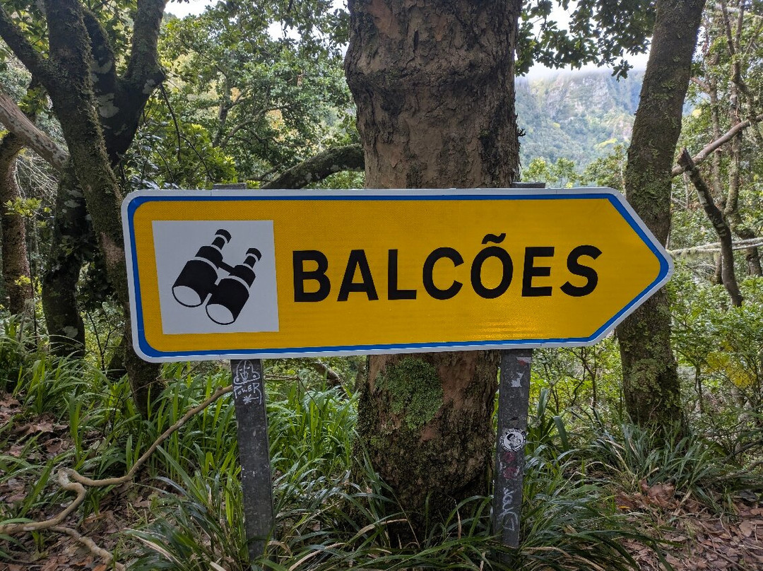 PR11 Vereda dos Balcões-Ribeiro Frio必去景点