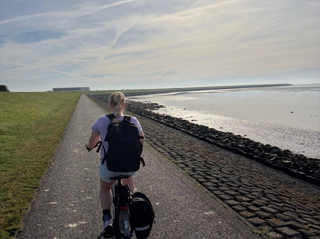 Puur Terschelling-Terschelling必去景点