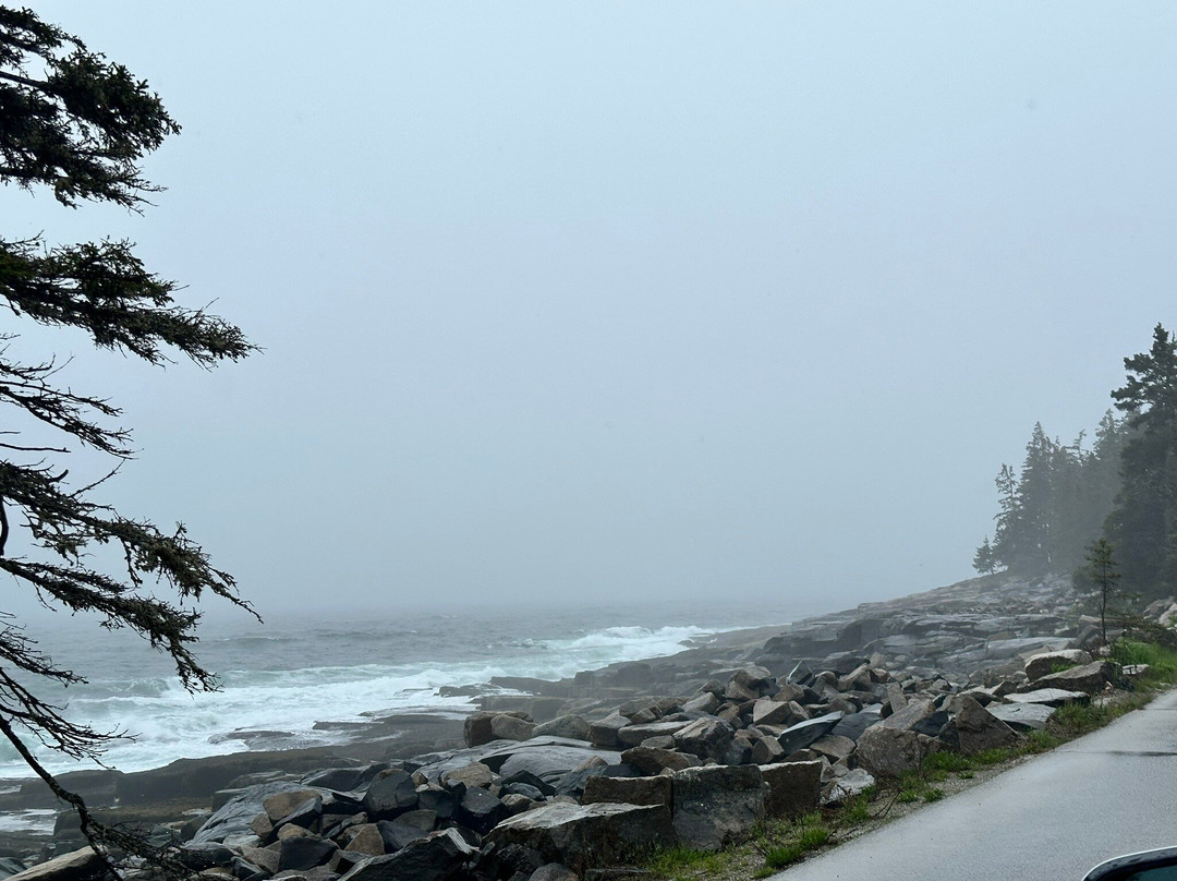 Schoodic Peninsula-巴港必去景点