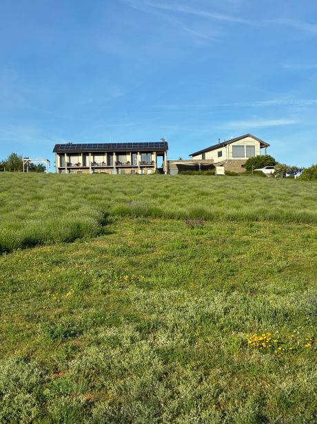 Natura Hill Zebegény - Butik szobák és Étterem-旅行者