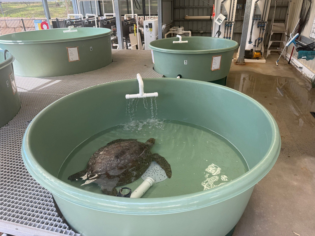 Australia Zoo-Beerwah必去景点