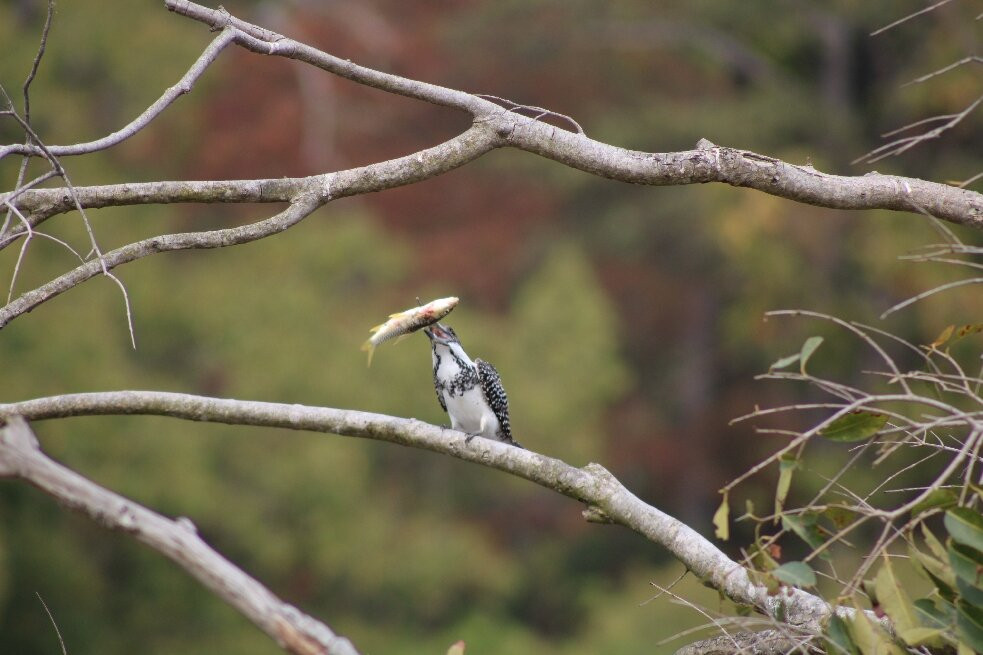 Jim Corbett National Park-Ramnagar必去景点