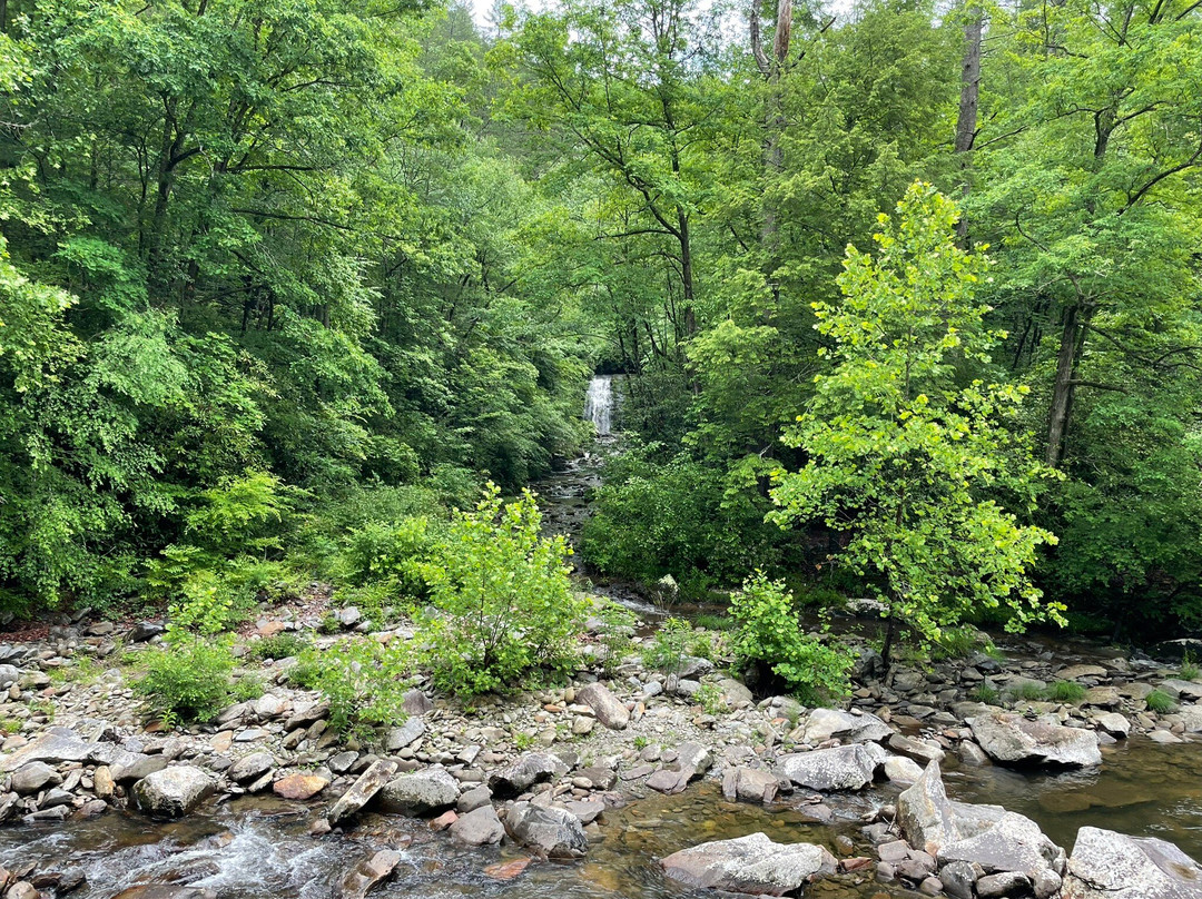 Sugarlands Valley Nature Trail-大雾山国家公园必去景点