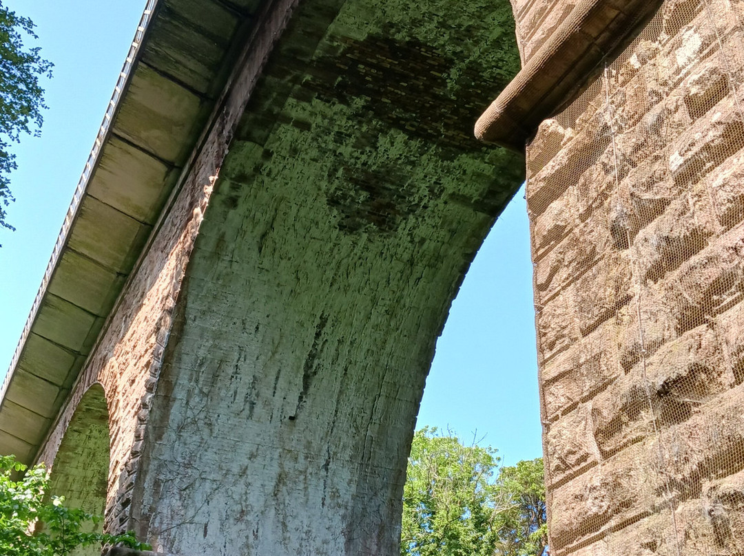 Crawfordsburn Country Park-班戈必去景点