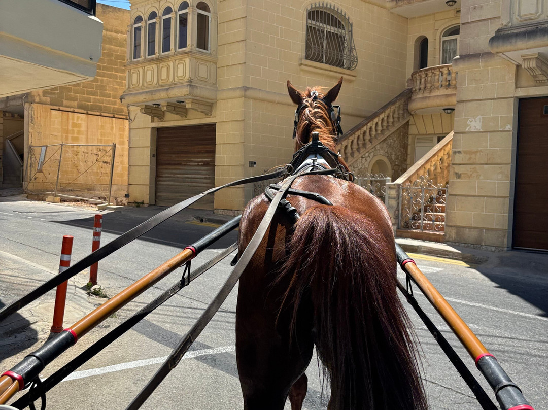 Lino's Stables-Xaghra必去景点
