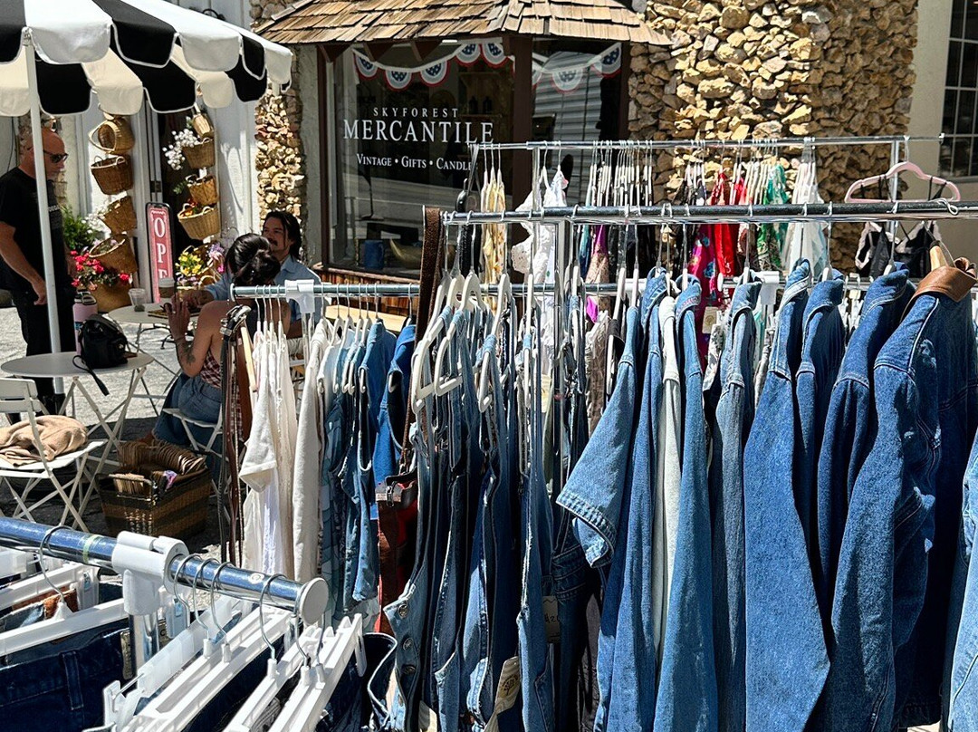 Skyforest Mercantile Home & Gift Store-Skyforest必去景点