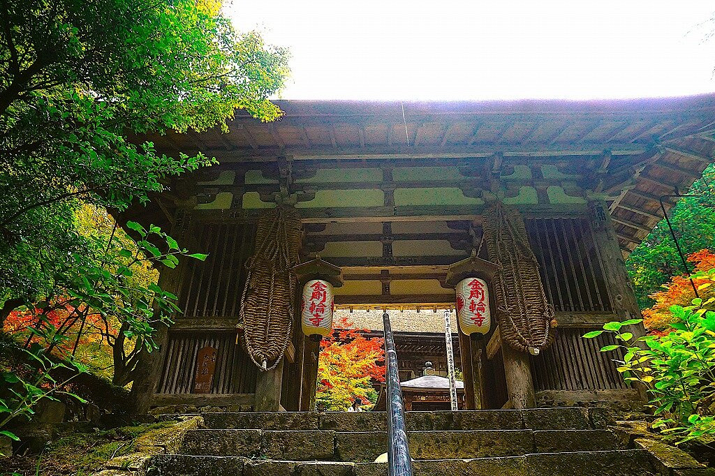 Kongorin-ji Temple-爱庄町必去景点