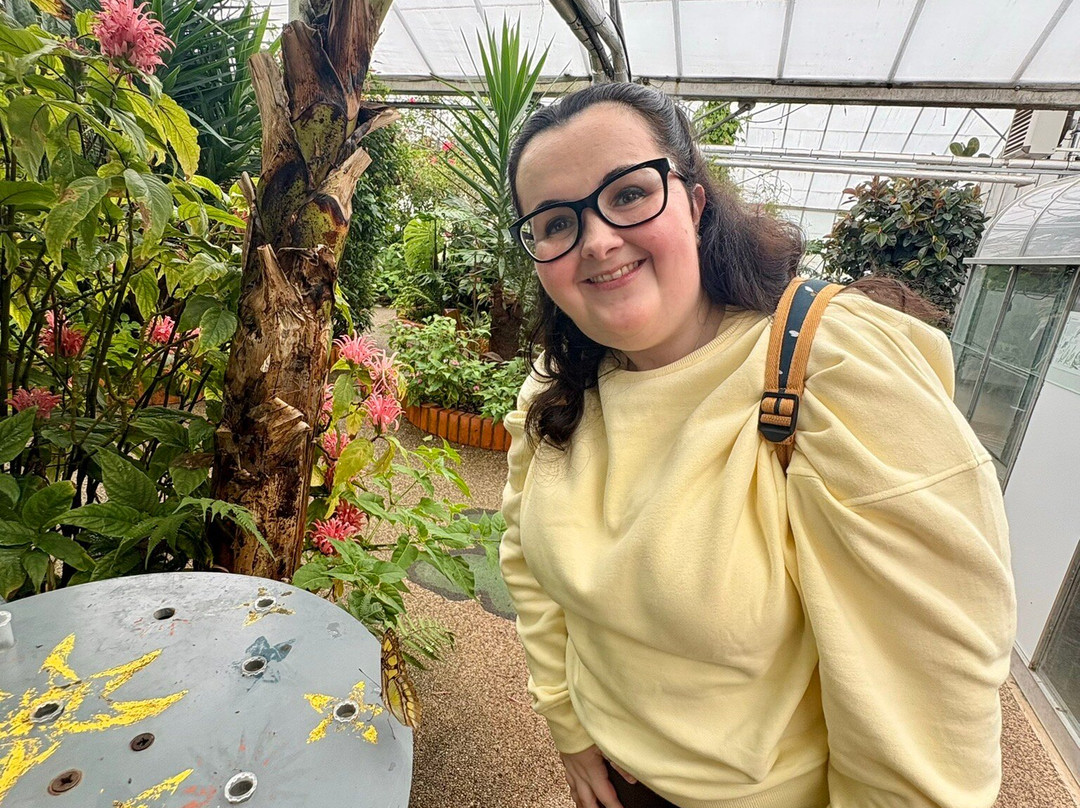Wye Valley Butterfly Zoo-瓦伊河畔罗斯必去景点