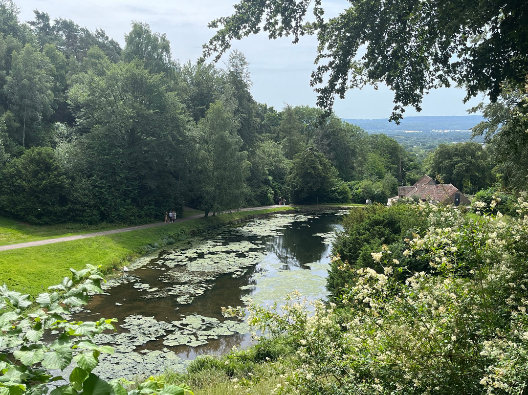 Hestercombe Gardens-汤顿必去景点