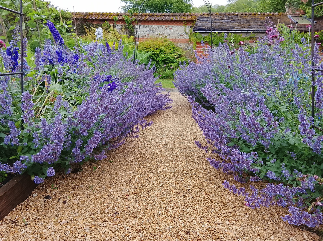 Heale Gardens-Middle Woodford必去景点