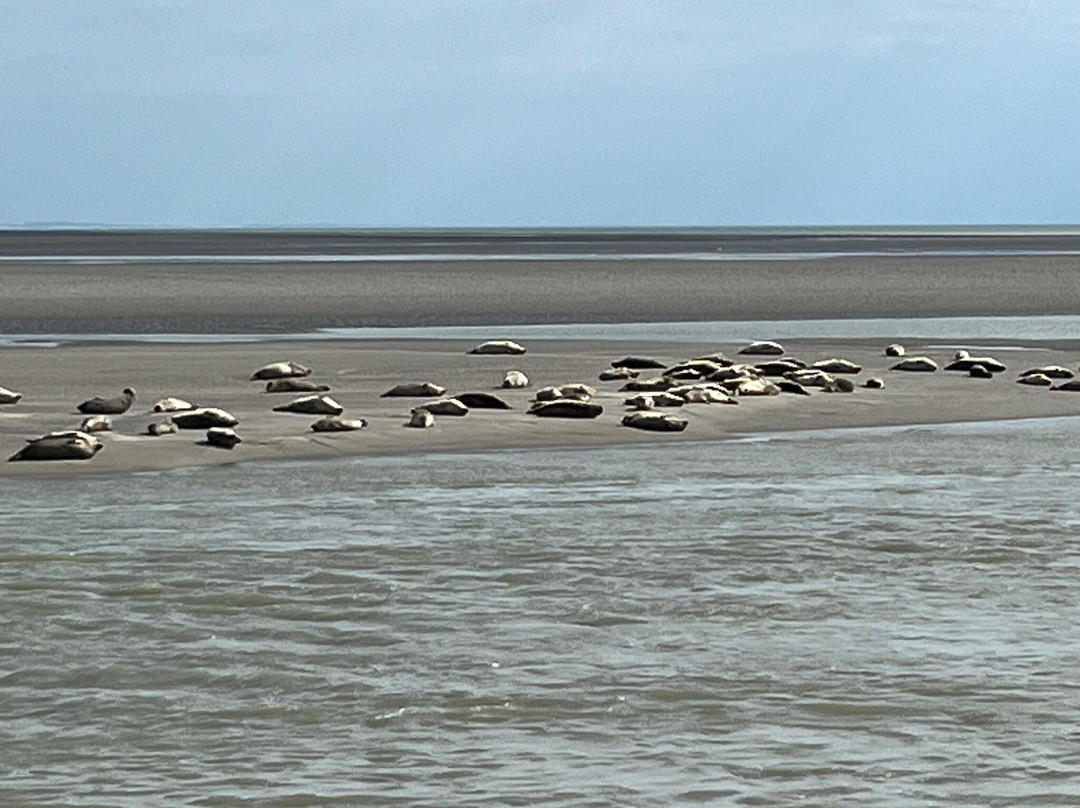 Berck Sur Mer-Berck必去景点