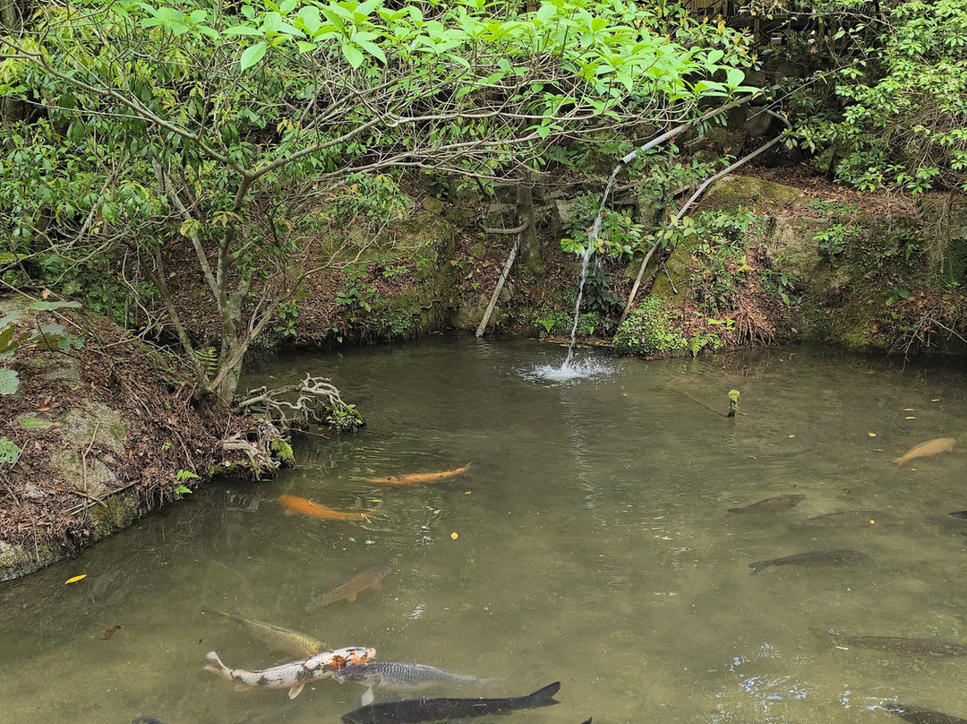 Momijidani Park-Itsukushima必去景点