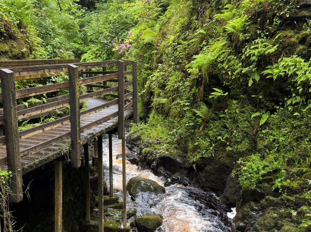 Glenariff Forest Park-County Antrim必去景点