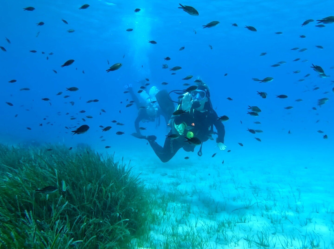 Nikiti Diving Center-Nikiti必去景点