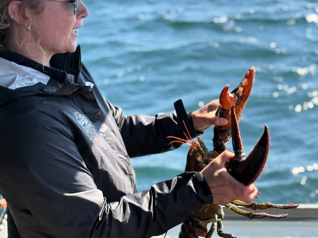 Catch Your Dinner Lobster Tours-Corea必去景点